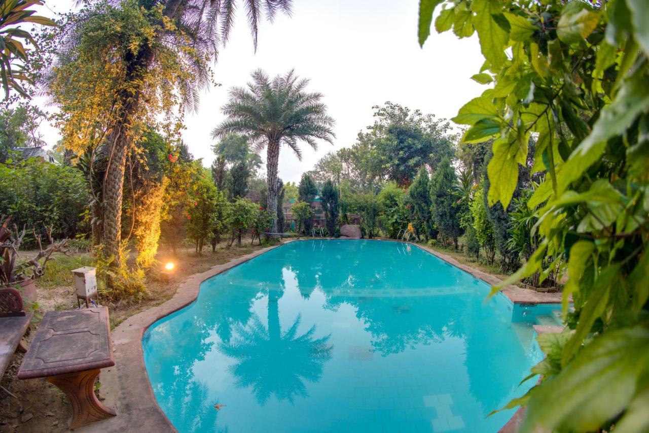 Hostie Chinar Haveli - Heritage Home With Pool, Γκουργκάον Εξωτερικό φωτογραφία