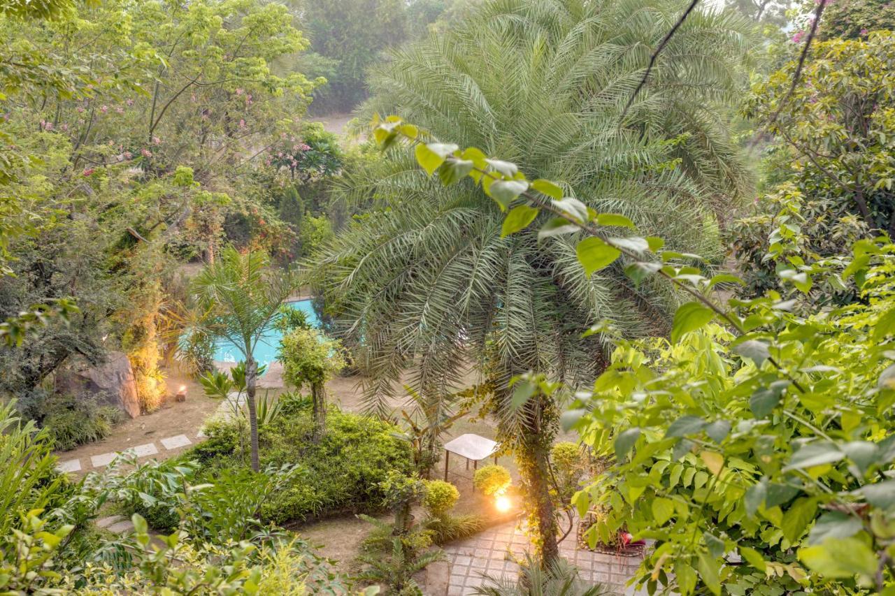 Hostie Chinar Haveli - Heritage Home With Pool, Γκουργκάον Εξωτερικό φωτογραφία