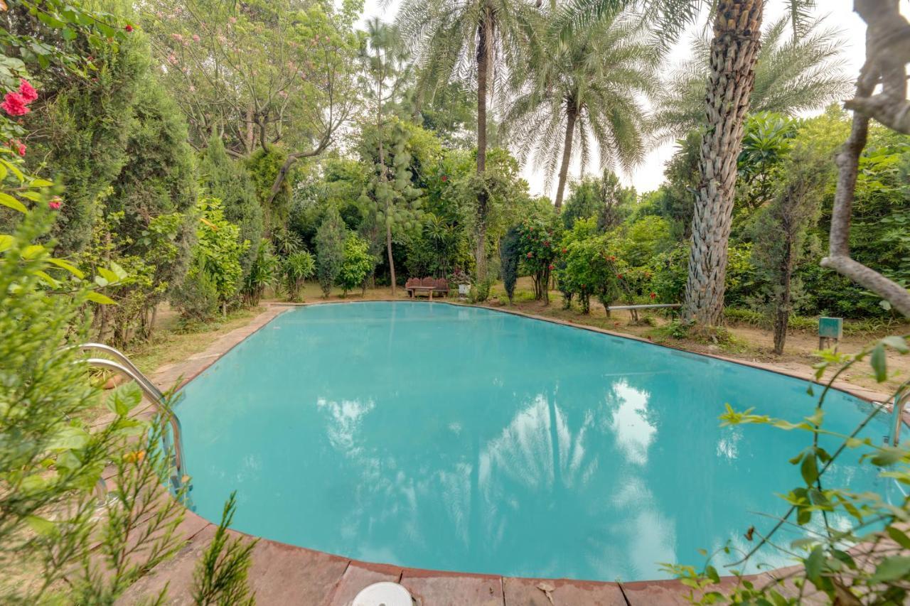 Hostie Chinar Haveli - Heritage Home With Pool, Γκουργκάον Εξωτερικό φωτογραφία