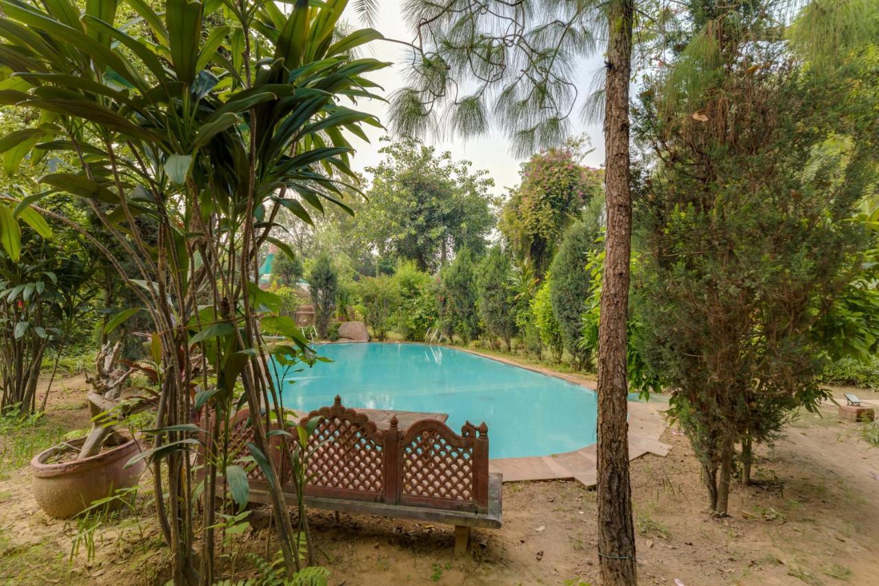 Hostie Chinar Haveli - Heritage Home With Pool, Γκουργκάον Εξωτερικό φωτογραφία
