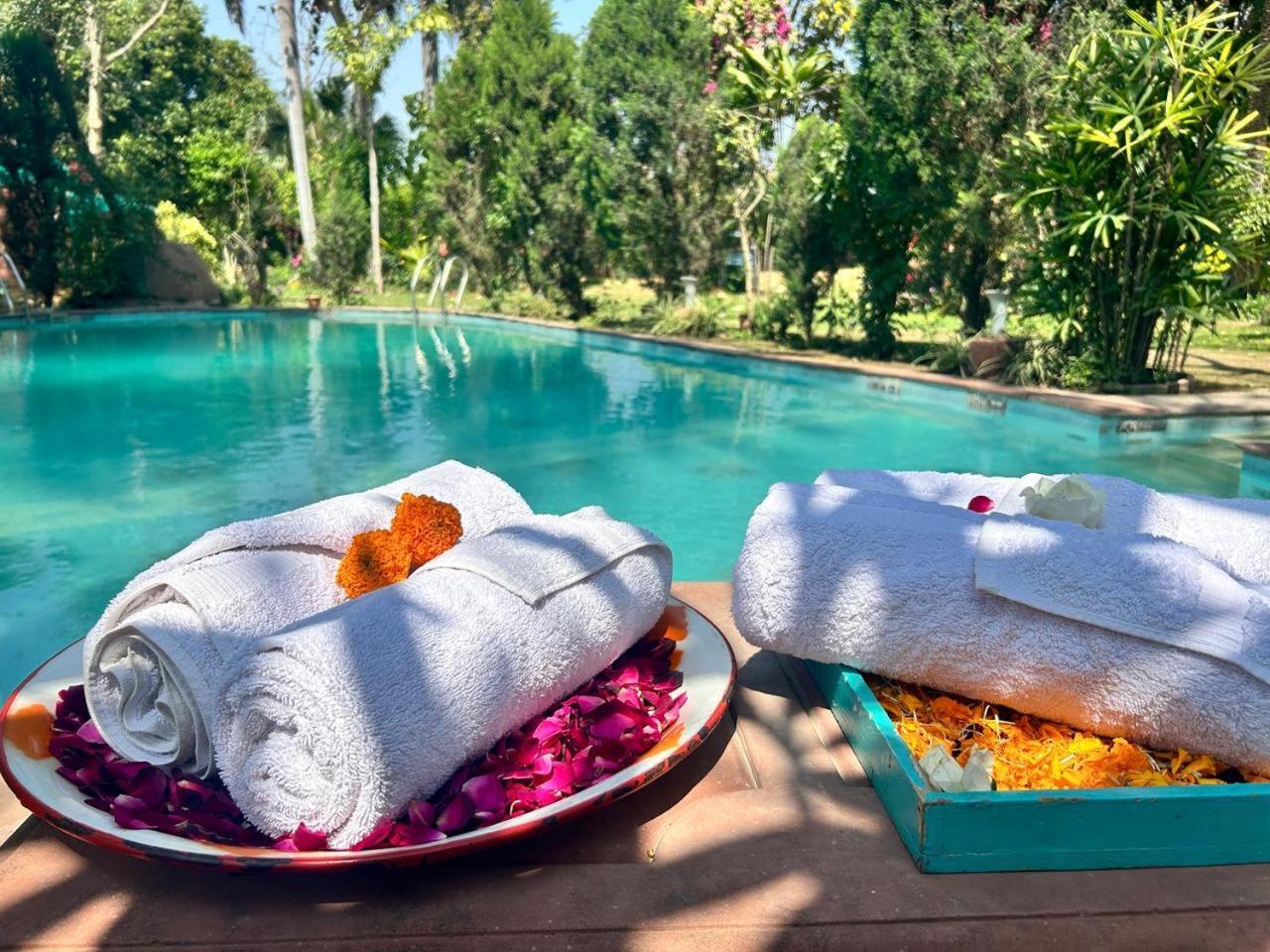 Hostie Chinar Haveli - Heritage Home With Pool, Γκουργκάον Εξωτερικό φωτογραφία